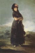 Francisco de Goya Portrait of Mariana Waldstein (mk05) Germany oil painting reproduction